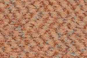 Ковролин Balsan Carrousel Carrousel 430 фото  | FLOORDEALER