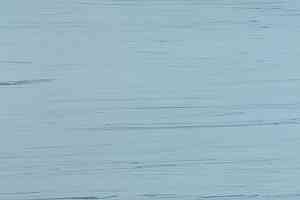 Линолеум Lino Fatra Garis 903 фото  | FLOORDEALER