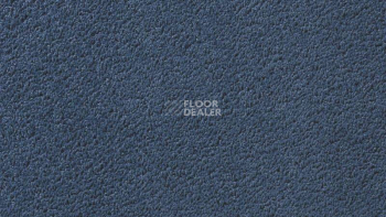 Ковролин Vorwerk Passion 1003 Vorwerk 3n60 фото 1 | FLOORDEALER