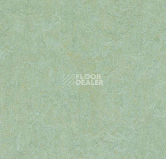 Кварцвиниловые полы Forbo Marmoleum Modular Colour 3882 фото 1 | FLOORDEALER