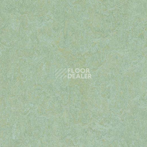 Кварцвиниловые полы Forbo Marmoleum Modular Colour 3882 фото 1 | FLOORDEALER