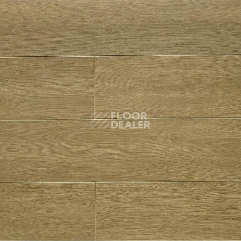 Ламинат Biela Cbm Silence 10мм 728-10 Дуб Вельцов фото 1 | FLOORDEALER