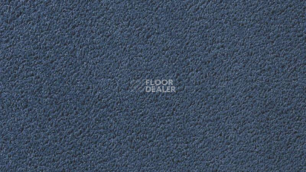 Ковролин Vorwerk Passion 1003 Vorwerk 3n60 фото 1 | FLOORDEALER