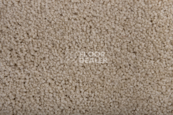 Haima Noble 69 фото 2 | FLOORDEALER