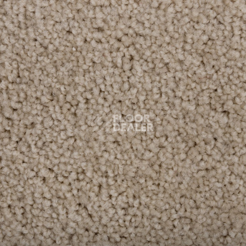 Haima Noble 69 фото 2 | FLOORDEALER