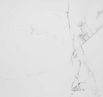 Керамогранит Marmol Carrara 596x596 Carrara Blanco Brillo L 59,6x59,6 фото 1 | FLOORDEALER