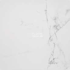 Керамогранит Marmol Carrara 596x596 Carrara Blanco Brillo L 59,6x59,6 фото 1 | FLOORDEALER