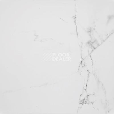 Керамогранит Marmol Carrara 596x596 Carrara Blanco Brillo L 59,6x59,6 фото 1 | FLOORDEALER