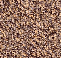 Ковролин Balsan Omega 778 фото 1 | FLOORDEALER