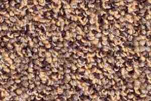 Ковролин Balsan Omega 778 фото  | FLOORDEALER