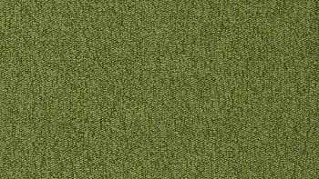 Ковролин Vorwerk Passion 1005 Vorwerk 4f83 фото 1 | FLOORDEALER