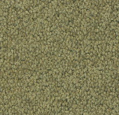 Ковровая плитка Forbo Tessera Acrobat 1314 фото 1 | FLOORDEALER