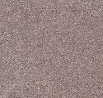 Ковролин AW Sensation 60 фото 1 | FLOORDEALER