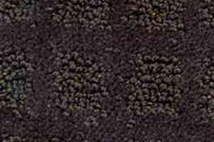 Ковролин Balta Cavalli 970 фото  | FLOORDEALER