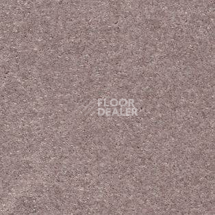 Ковролин AW Sensation 60 фото 1 | FLOORDEALER