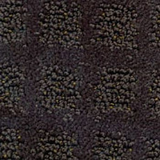 Ковролин Balta Cavalli 970 фото 1 | FLOORDEALER