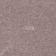 Ковролин AW Sensation 60 фото 1 | FLOORDEALER