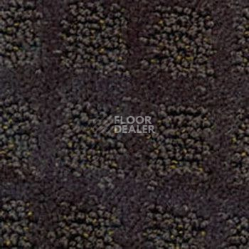 Ковролин Balta Cavalli 970 фото 1 | FLOORDEALER