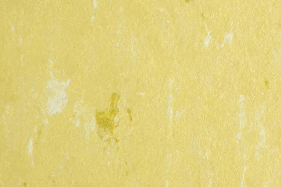 Forbo Marmoleum Solid Piano 3634-363435 meadow фото 2 | FLOORDEALER