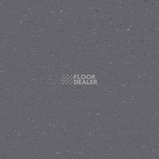 Линолеум Colorette 0080 Elephant Grey фото 1 | FLOORDEALER