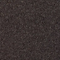 Ковролин Desso Mila-Brlm 2921 фото 1 | FLOORDEALER