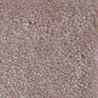 Ковролин Serene Beaulieu of America 14 фото 1 | FLOORDEALER