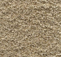 Ковролин AW Harlem 36 фото 1 | FLOORDEALER