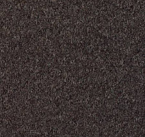 Ковролин Desso Mila-Brlm 2921 фото 1 | FLOORDEALER