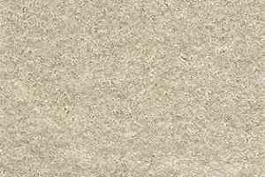 Ковролин AW Powder 35 фото  | FLOORDEALER
