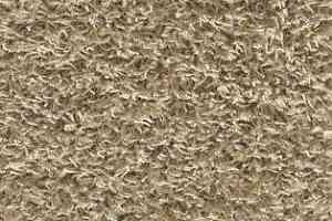 Ковролин AW Harlem 36 фото  | FLOORDEALER