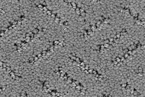 Ковролин Balsan Orangerie 920 фото  | FLOORDEALER