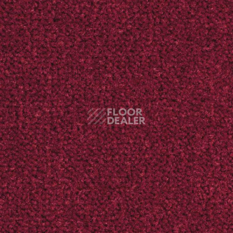 Ковролин Balsan Les Best S 585 фото 1 | FLOORDEALER