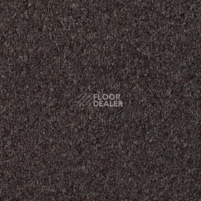 Ковролин Desso Mila-Brlm 2921 фото 1 | FLOORDEALER