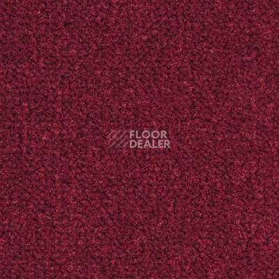 Ковролин Balsan Les Best S 585 фото 1 | FLOORDEALER