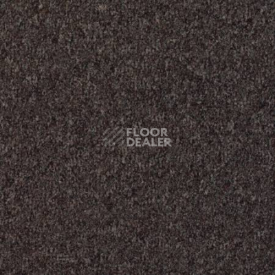Ковролин Desso Mila-Brlm 2921 фото 1 | FLOORDEALER