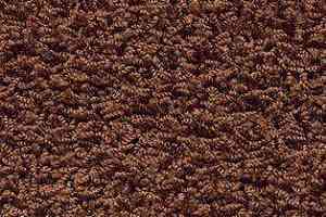 Ковролин AW Harlem 80 фото  | FLOORDEALER