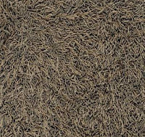 Ковролин Vorwerk Fabula 7d71 фото 1 | FLOORDEALER