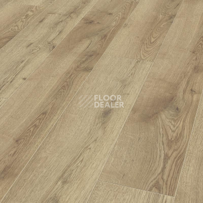 Ламинат Kronotex Mammut Plus d4725 Дуб Горный Природный фото 1 | FLOORDEALER