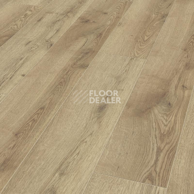 Ламинат Kronotex Mammut Plus d4725 Дуб Горный Природный фото 1 | FLOORDEALER