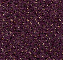 Ковролин Condor Carpets Argus 251 фото 1 | FLOORDEALER