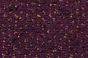 Ковролин Condor Carpets Argus 251 фото  | FLOORDEALER