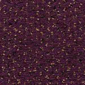 Ковролин CONDOR Carpets Argus 251 фото ##numphoto## | FLOORDEALER