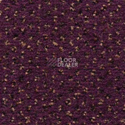 Ковролин Condor Carpets Argus 251 фото 1 | FLOORDEALER
