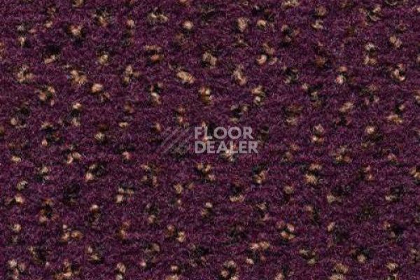 Ковролин CONDOR Carpets Argus 251 фото 1 | FLOORDEALER