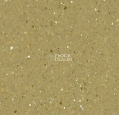 Линолеум Forbo Sphera Elite 50491 citrine фото 1 | FLOORDEALER