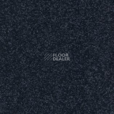 Ковролин AW VivendiI Aaura 78 фото 1 | FLOORDEALER
