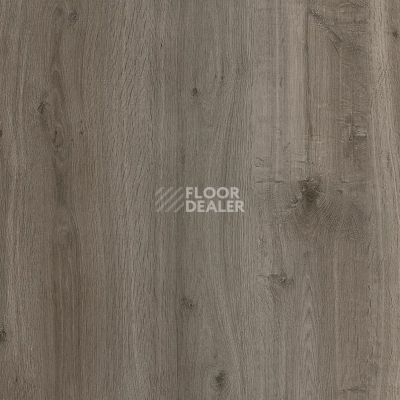 Кварцвиниловые полы Vertigo Trend / Wood 3107 Grey Oak 184.2 мм X 1219.2 мм фото 1 | FLOORDEALER