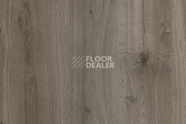 Виниловая плитка ПВХ Vertigo Trend / Wood 3107 Grey Oak 184.2 мм X 1219.2 мм фото 1 | FLOORDEALER