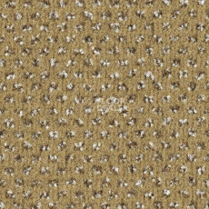 Ковролин Balsan Signature 625 фото 1 | FLOORDEALER