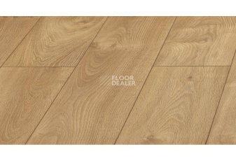 Ламинат Kronopol Platinium Cuprum d3033 Дуб Ливорно фото 1 | FLOORDEALER